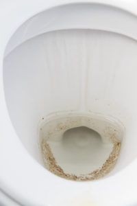Potential blockages in your toilet