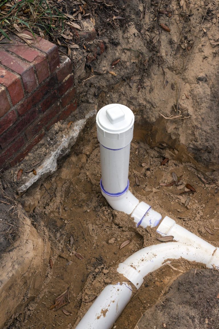 root out sewer line